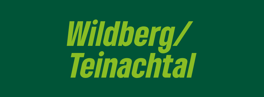 Wildberg Teinachtal Button