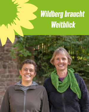 Plakat "Wildberg braucht Weitblick"