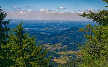 Ausblick auf den Schwarzwald