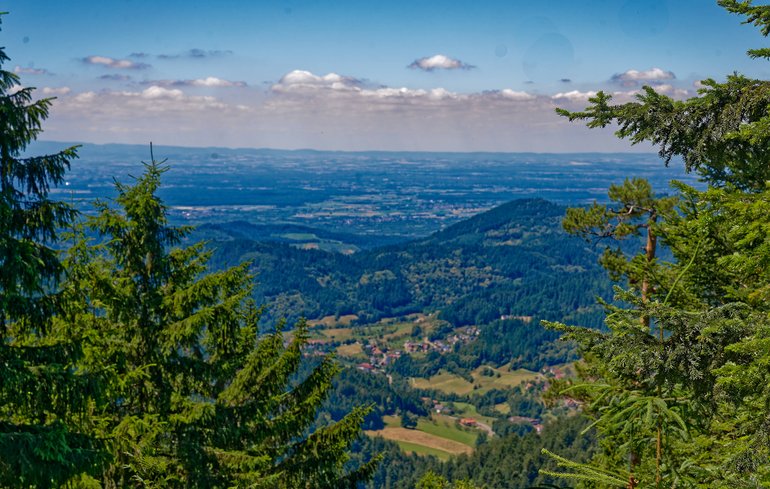 Ausblick auf den Schwarzwald