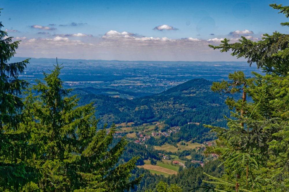 Ausblick auf den Schwarzwald