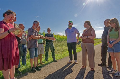 Spaziergang zu den Windkraftanlagen