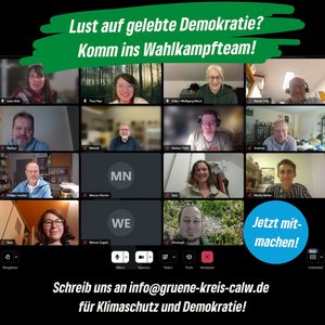 Online-Meeting Screenshot des letzten Wahlkampftreffens