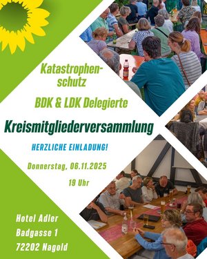 Sharepic für die KMV am 06.11. in Nagold