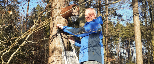Grüne aktive Mitglieder - hier im Wald beim Aufhängen eines Nistkastens