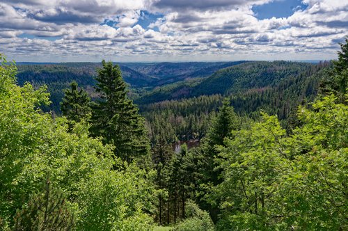 Blick in die Landschaft des Nordschwarzwaldes