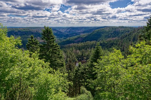 Blick in die Landschaft des Nordschwarzwaldes